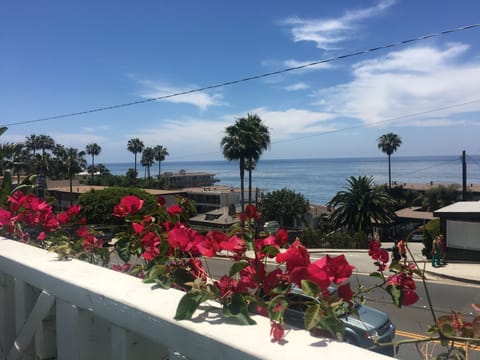 Direct beach views from your deck!
