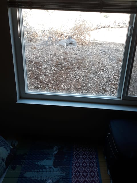 Taking a nap waiting for check in