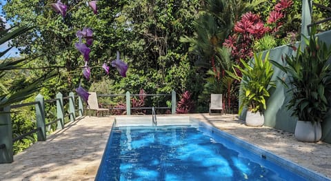 40 foot pool in lush jungle setting 