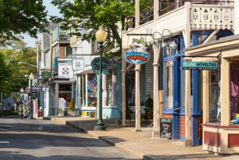 The house is .5 miles / 15 minute walk to downtown Circuit Avenue in Oak Bluffs