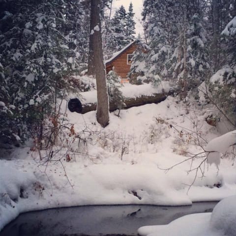 Swan Cottage in Winter. Photo taken from creek.