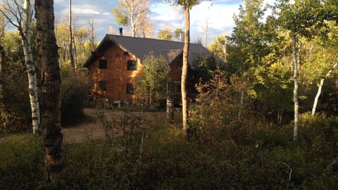 From the road in the summer