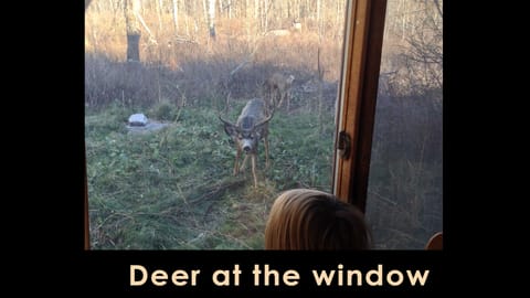 some of the usual neighbors dropping by