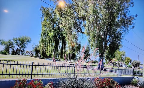 Large fenced-in back yard