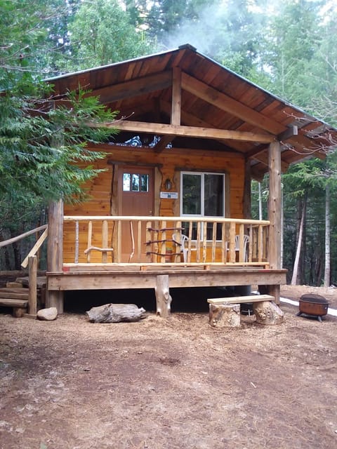 Trinity cabin 