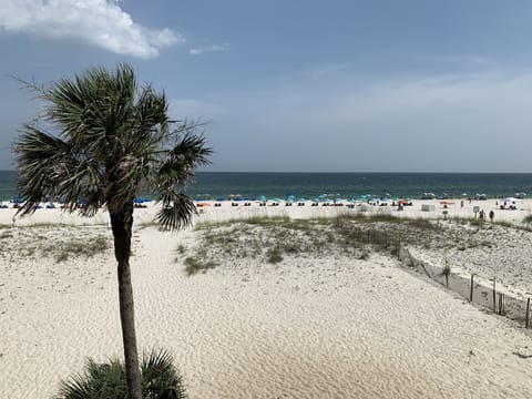 View from balcony