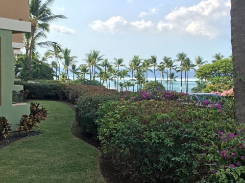 View from the lanai