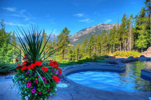 Soak in the SHARED hot pools while you take in incredible views of the mountains