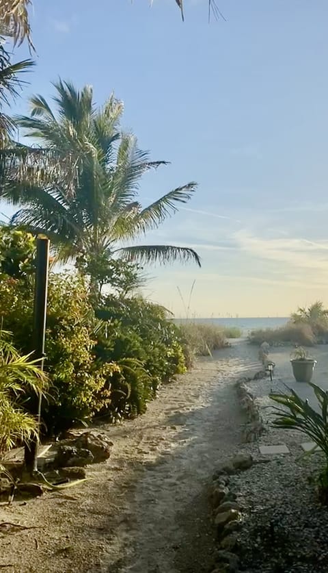 Private Guest Path to the Beach...visible from the beachfront deck