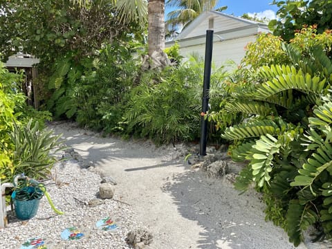 View back from the Beach