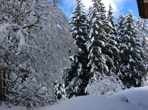 view from main window