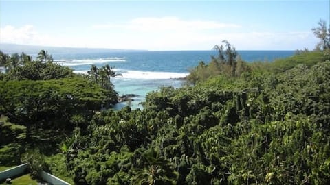 View from your condo