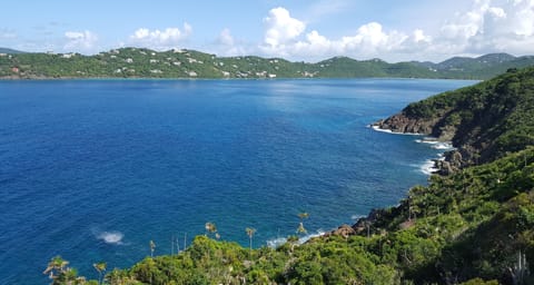 Enjoy the view of Magens Bay from the Ocean Room at The Dancing Orchid B&B Villa