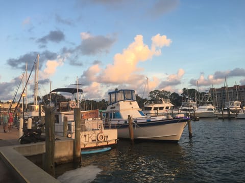 Sunset at the Dunedin Marina, Great place for Happy Hour