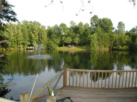 pond and fishing deck in back yard