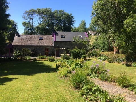 Aisling cottage begins to bloom