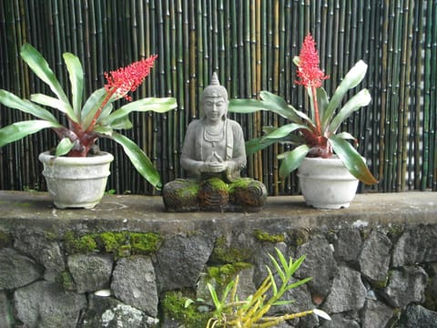 Peaceful garden retreat
