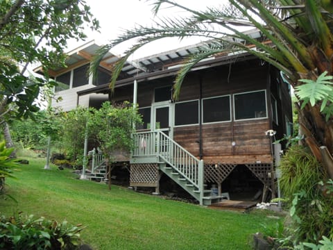 front garden and cottage