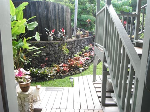 back garden from house