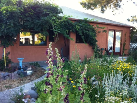 Front of house in full bloom