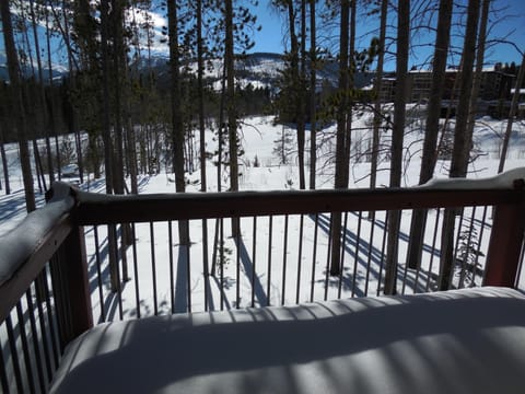 View of the slopes from the back deck.