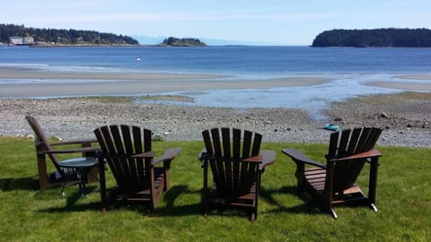 Tides Out! Go for stroll.  All kinds of shells and baby crabs.
