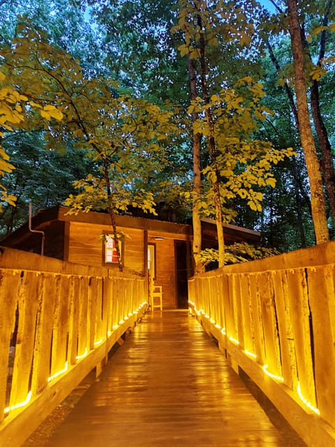 Night time lighting is quite dramatic!