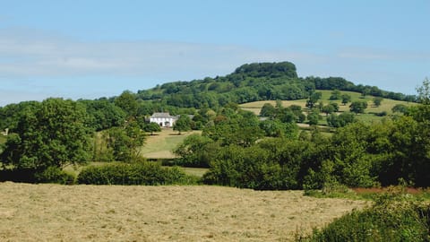 Woodhayes Farm in July 2015, Location of Orchard Barn.