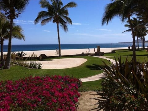 View from Veranda