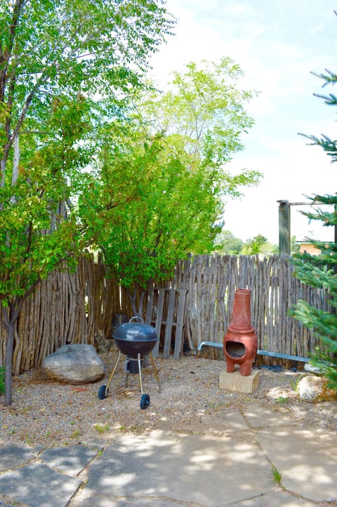 Outdoor Yard and Barbeque