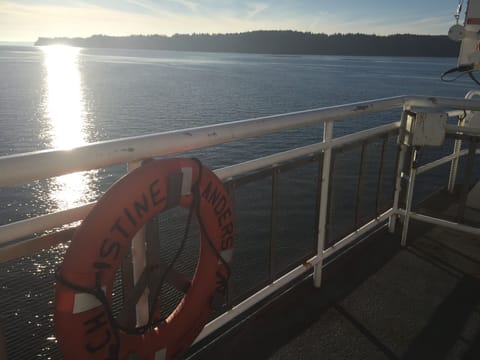 The Steilacoom Ferry. In under 20 minutes you'll be a million miles away.