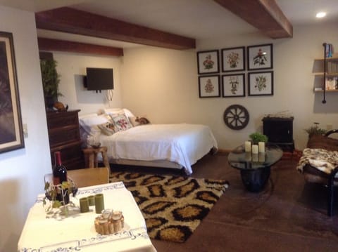 open concept bedroom/living/and dining space