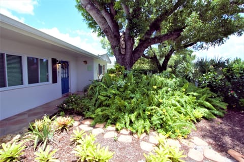 Front Yard