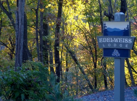 Edelweiss Lodge - Your Serene Destination