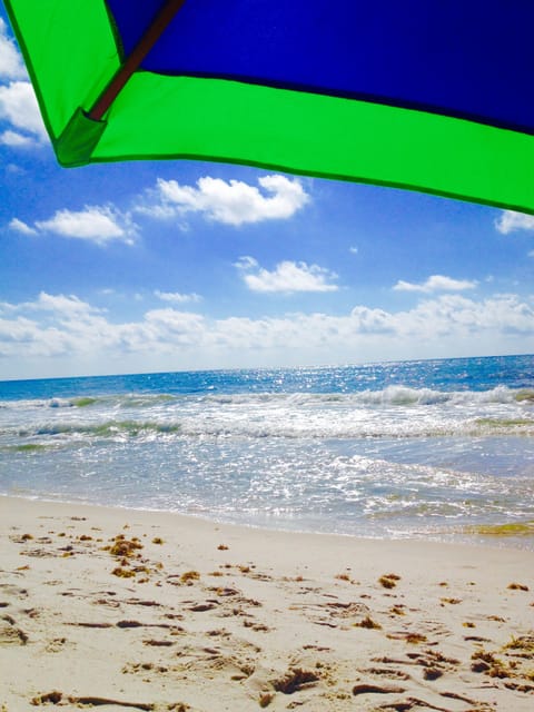 Beach view...from your chair!