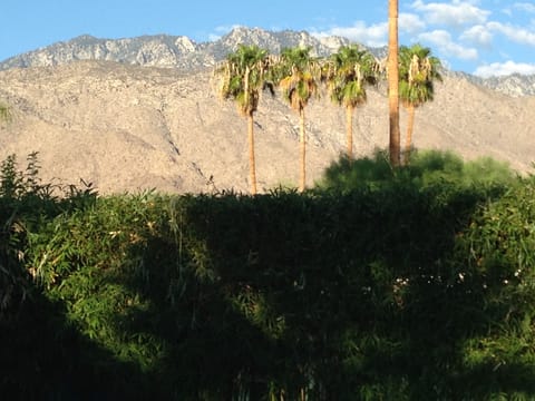 Morning coffee view