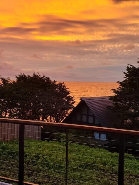 golden sunset - they are all unique