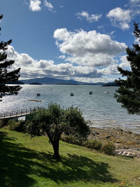 View of Acadia