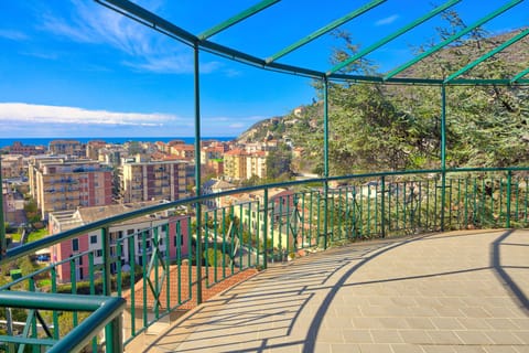 Balcony / Terrace / Patio