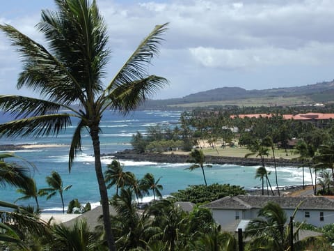 view down the coast of Poipu Beach