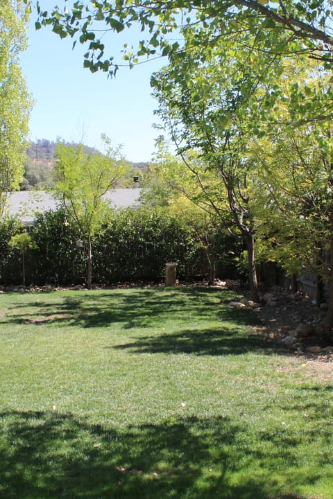 Secluded backyard, great view of the stars!