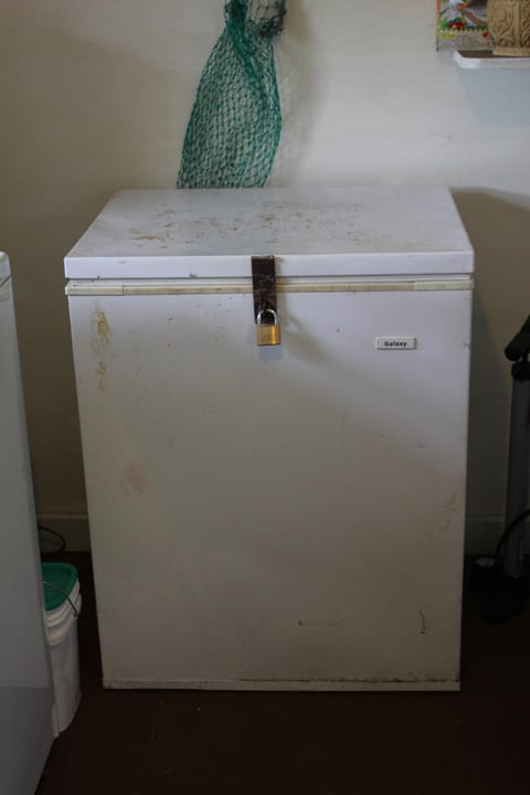 extra freezer for your catch