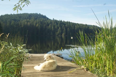 Weston Lake,  Salt Spring Island
