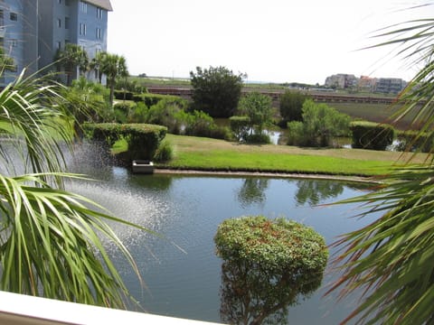 View from the balcony