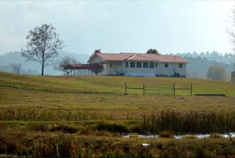 View of back of cottage.
