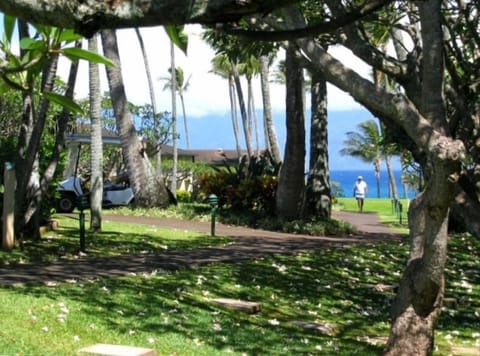 The view from the lanai!