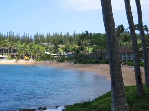 Looking out at Napili beach.