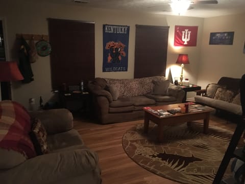 Downstairs living room from kitchen view 
