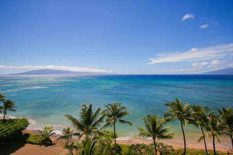 View to Ocean