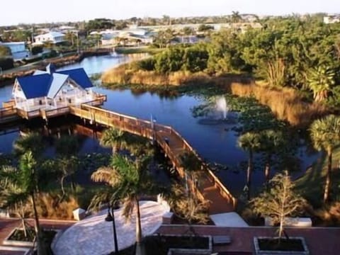 Looking down from the Balcony